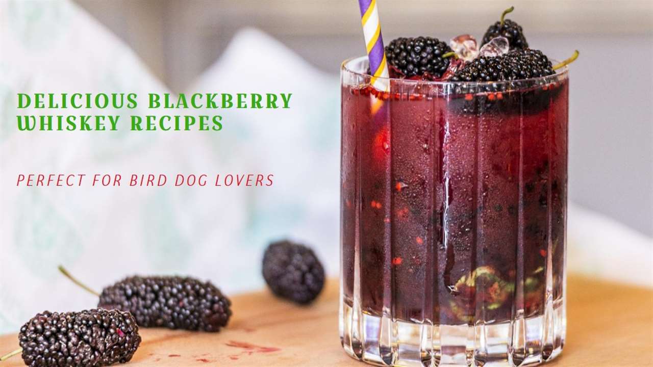 Bird Dog Blackberry Whiskey Recipes